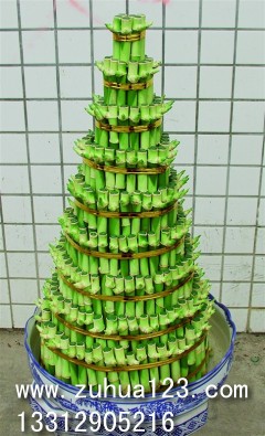 深圳植物租摆开运竹