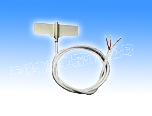 热电阻温度传感器 T-06